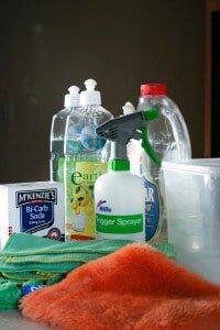 4356090774_b826efb291_z1-200×300 cleaning products