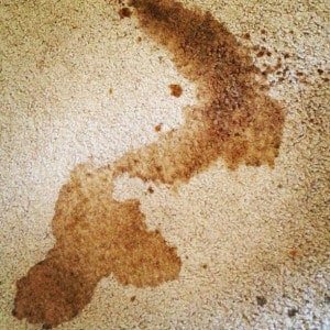 coffee-stain-carpet-300×300