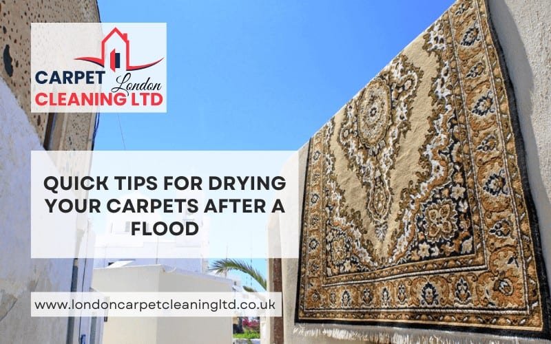 Drying your Carpets