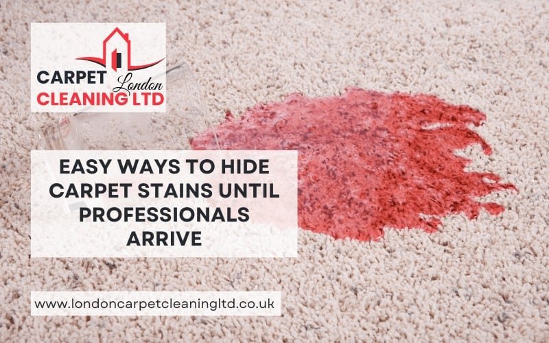 Easy Ways to Hide Carpet Stains Until Professionals Arrive