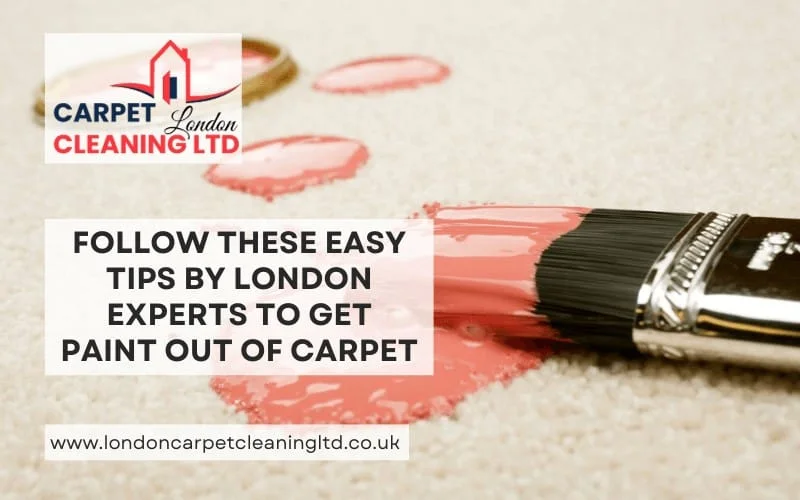 Follow These Easy Tips By London Experts to Get Paint Out of Carpet Follow These Easy Tips By London Experts to Get Paint Out of Carpet