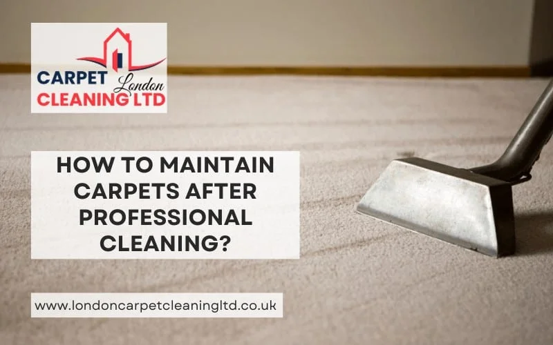 How To Maintain Carpets After Professional Cleaning? How To Maintain Carpets After Professional Cleaning?
