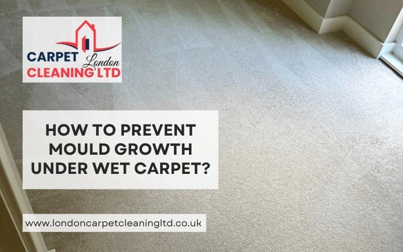 How to Prevent Mould Growth Under Wet Carpet?