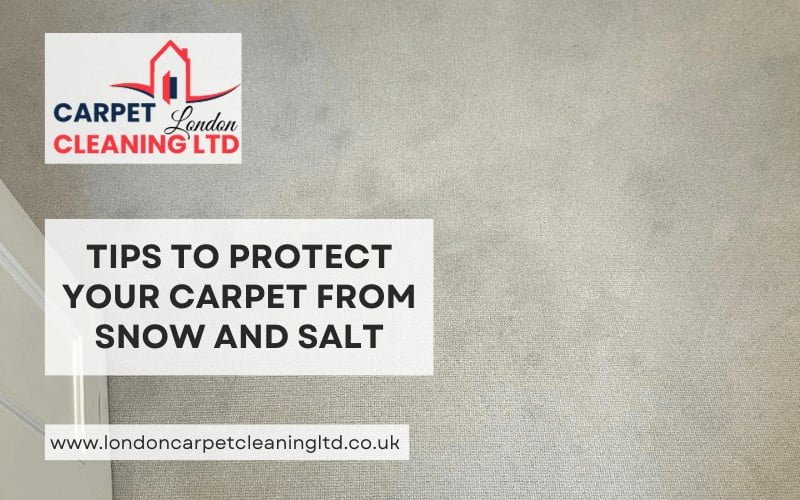 Tips to Protect Your Carpet from Snow and Salt