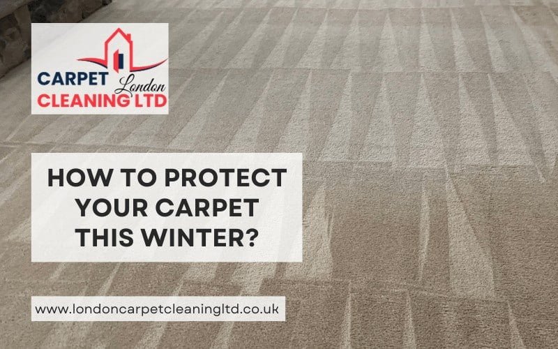 How To Protect Your Carpet This Winter?