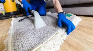 Preventing Allergies with Steam Carpet Cleaning