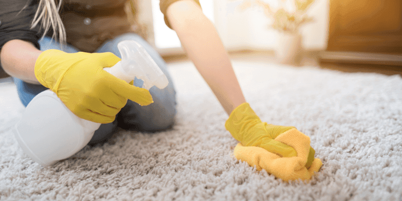 Ways to Eliminate Carpet Odours