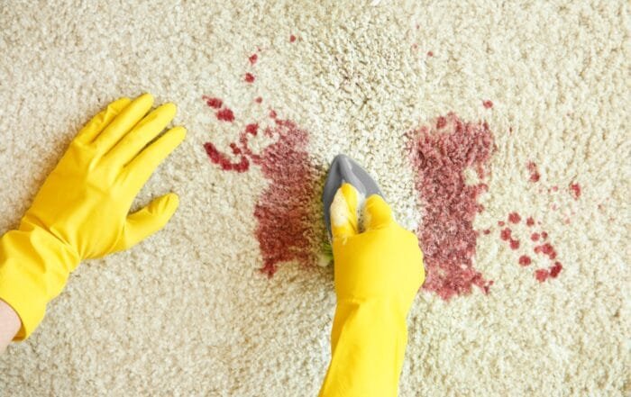 Get Blood Out of Carpets