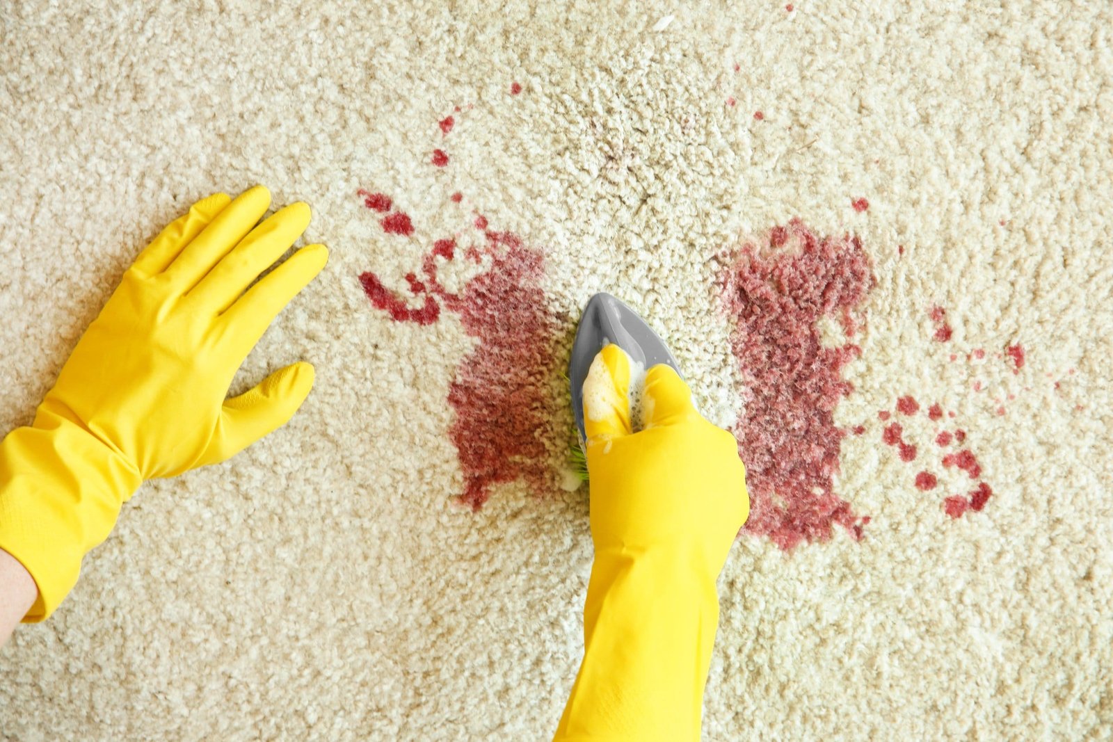 Get Blood Out of Carpets