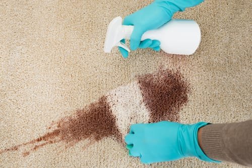 Carpet Stain Hacks