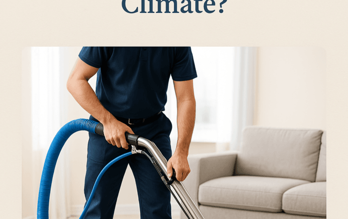 londoncarpetcleaningltd