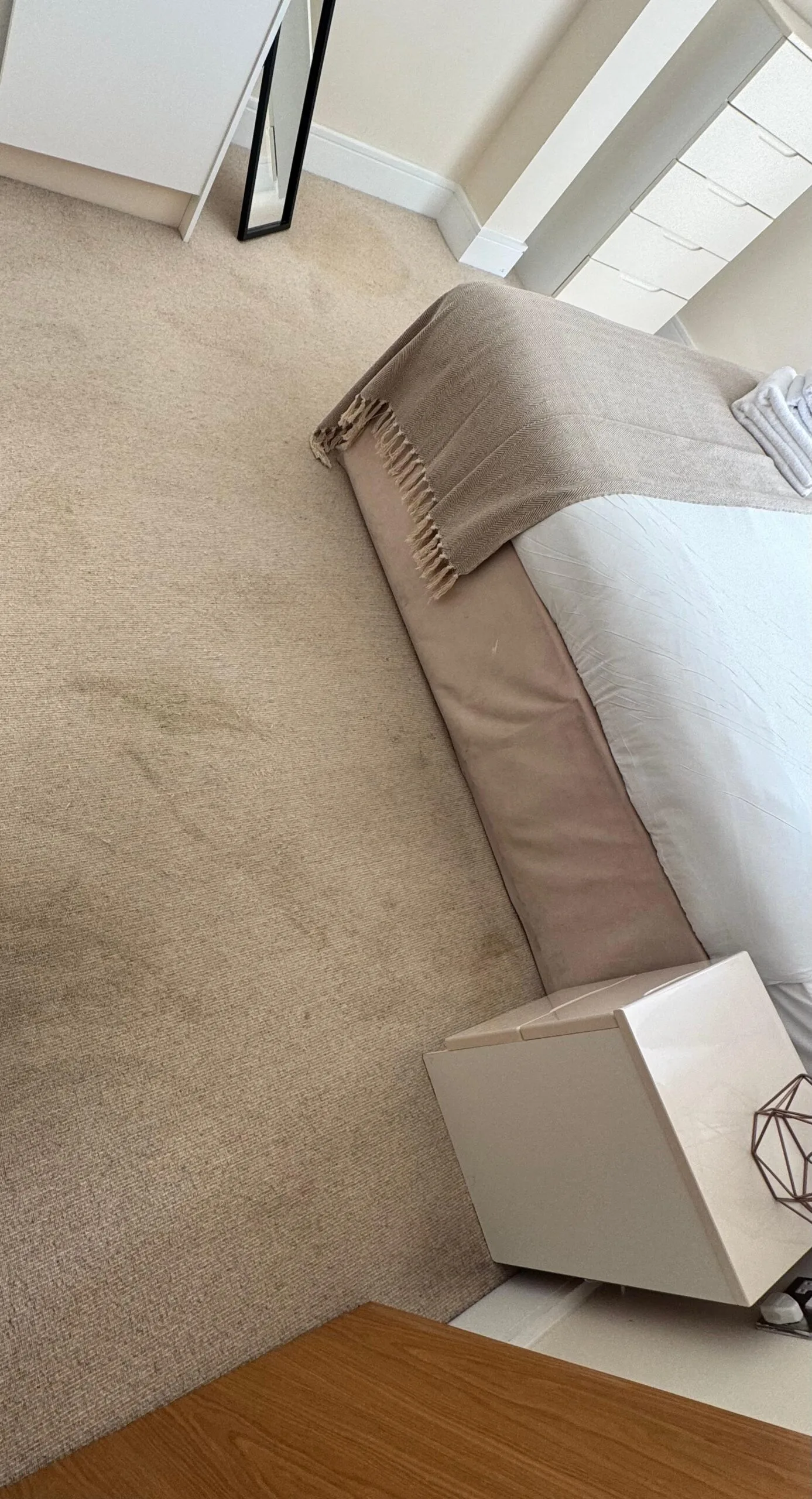 carpet cleaning carpet cleaning